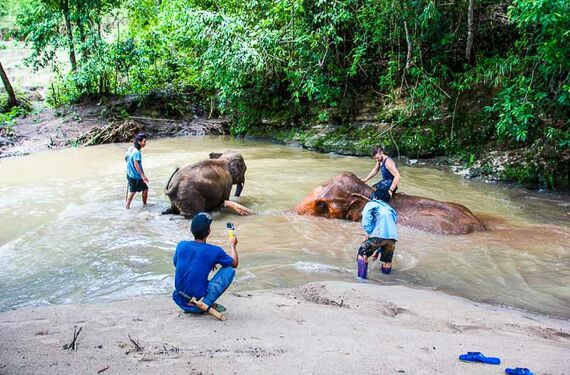 Elefantencamp Thailand - Ritt durch den Fluss