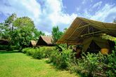 Elephant Hills Luxury Tented Camp - Khao Sok National Park - Zelte im Hauptcamp