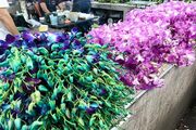 Bangkok Family Discovery Tour - Blumenmarkt