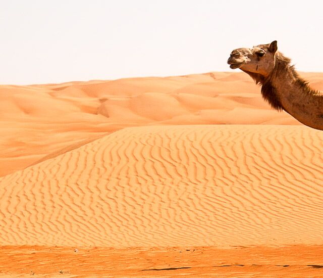 Wahiba Sands mit Kindern