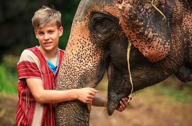 Elefantenerlebnis hautnah