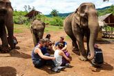 Elefantencamp Thailand - Kennenlernen der Tiere