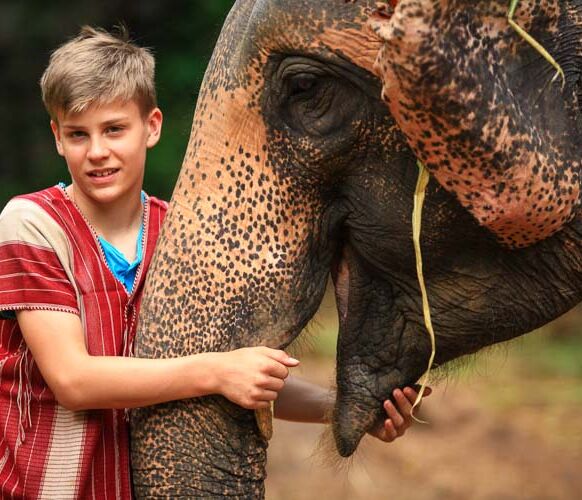 Elefantenerlebnis hautnah Elefanten fuettern