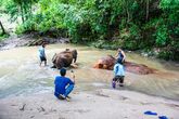 Elefantencamp Thailand - Ritt durch den Fluss