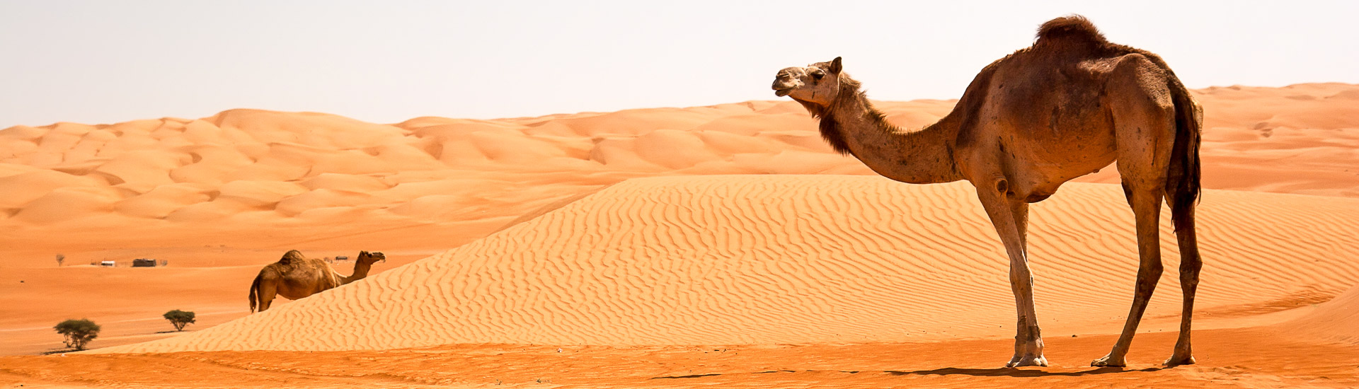 Wüstenabenteuer mit Kindern