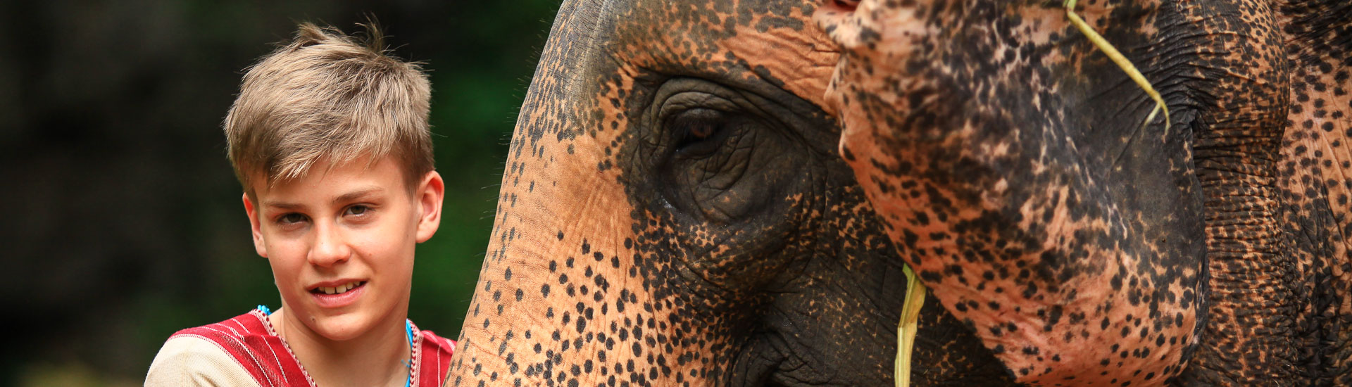 Tiere hautnah mit der Familie erleben